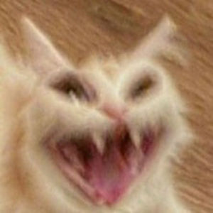 Meet your Posher, Lillian